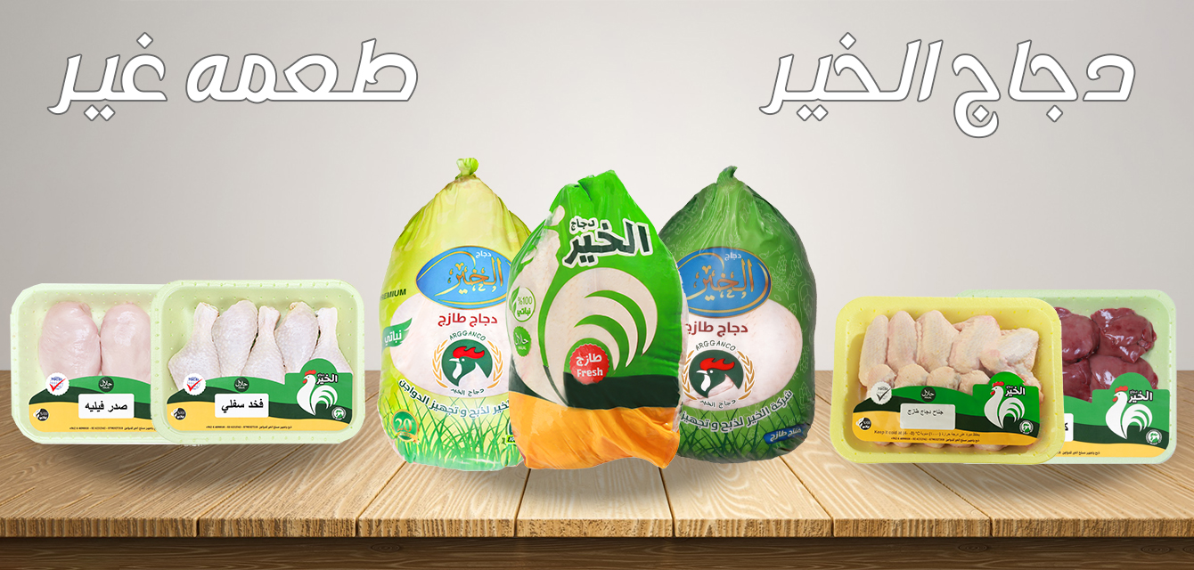 دجاج الخير copy