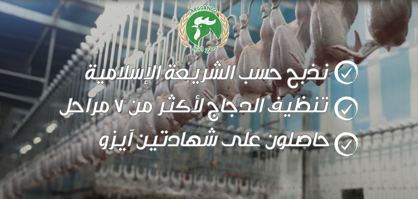 مسلخ الدجاج copy3